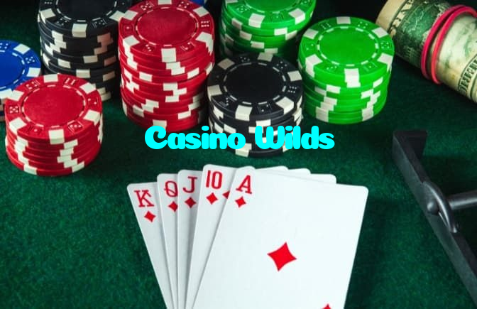 available types of Casino Wilds bet including pre-match live express and system bets